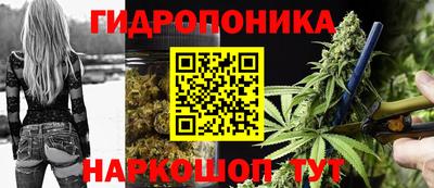 скорость Аргун