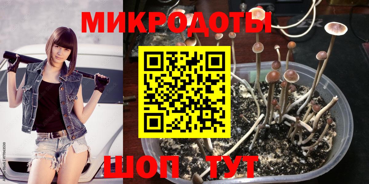 Псилоцибиновые грибы Cubensis  Галлюциногенные грибы GOLDEN TEACHER  Ефремов  Вход с VPN 